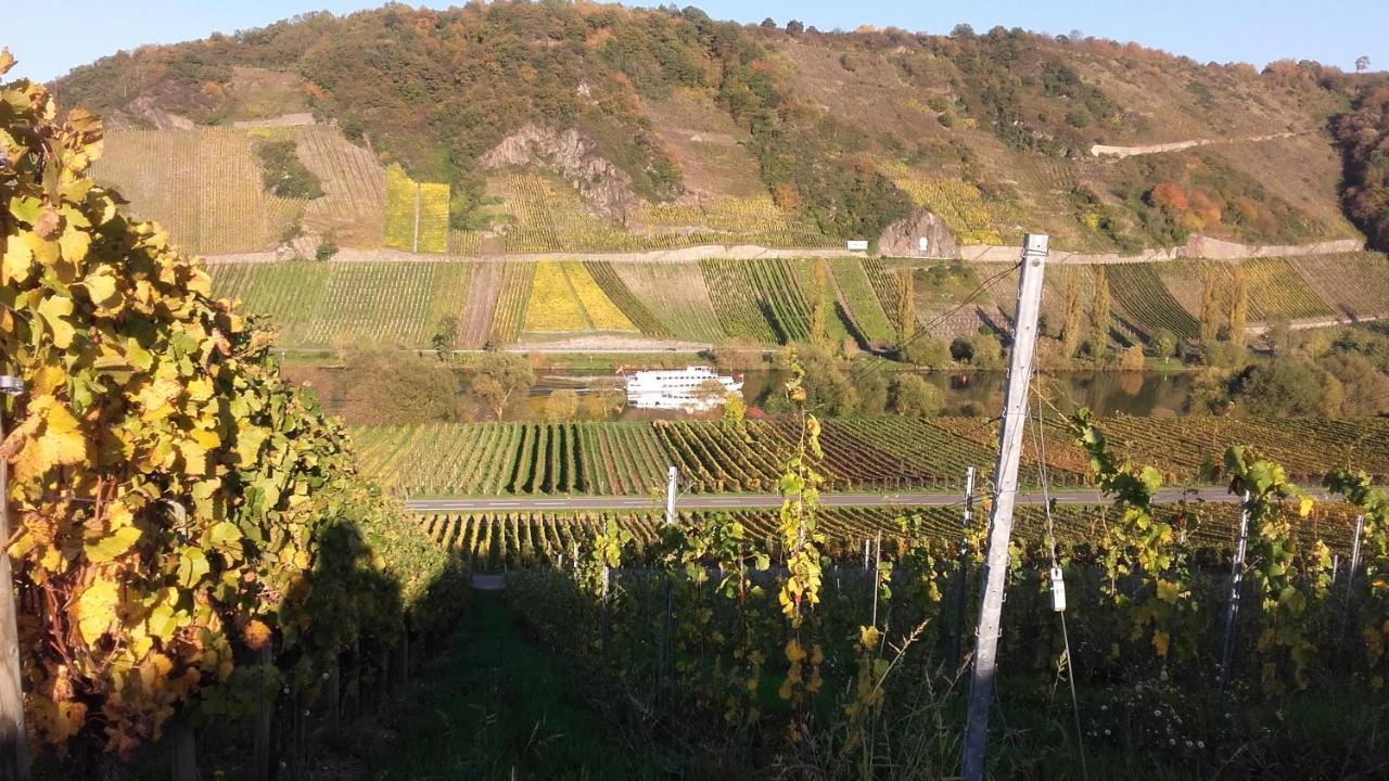 Gaestehaus Moselblick トリッテンハイム エクステリア 写真
