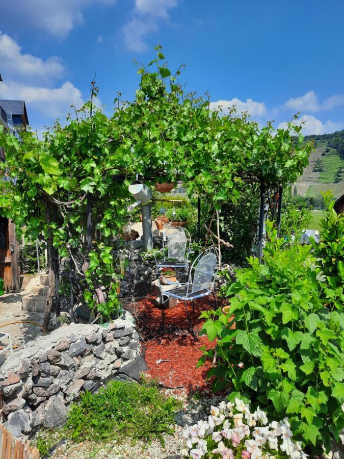 Gaestehaus Moselblick トリッテンハイム エクステリア 写真